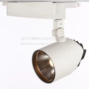 德朗特DELONTE,***高光效30W轨道灯(DLT-GD3001-30W)