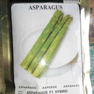 特色蔬菜种子芦笋种子进口良种达宝莉种子45克/袋未拆封种子正品