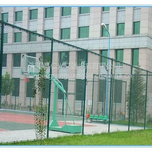 安平仁光供应低碳钢丝浸塑围栏网