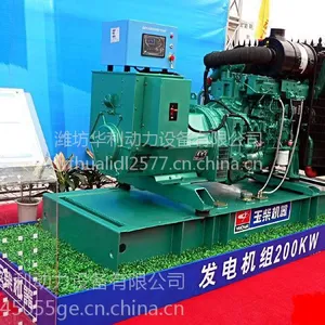 200kw200kw�����ͷ������ YC6M350L-D20�����������ˢ�����250KVA