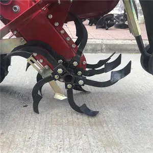 �������ַ������� ������¢������ �������ֽ�������