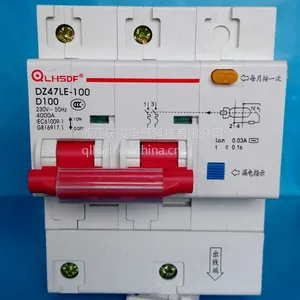 直销庆凌牌QLD47LE-100漏电断路器保护器总闸DZ47漏保2P100A空气开关