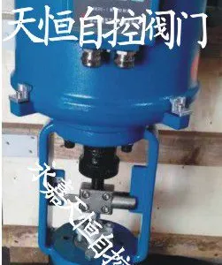 �����͵���ʽ�綯���ڷ�