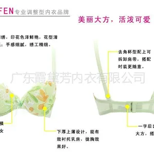 供应霞黛芳正品 印花刺绣聚拢美胸适舒中厚定型B杯调整型文胸 8445