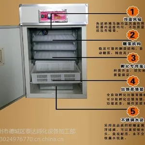 供应家用小型孵蛋机/泰达TD-352枚鸡智能孵化机