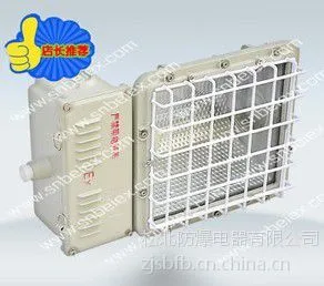 供应防爆泛光灯150w 供应防爆泛光灯150w 松北防爆泛光灯150w