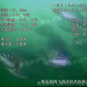 大型网箱养殖视频监控,专用的拖航式高清水下摄像机,网箱养鱼观测设备