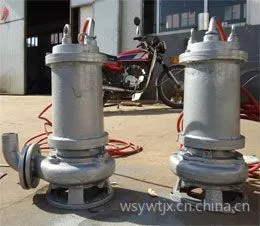 供应铸造不锈钢泵/不锈钢抽污水泵
