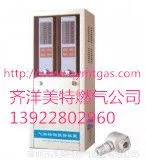 一级代理CA-217A-C系列防爆型可燃气体报警器