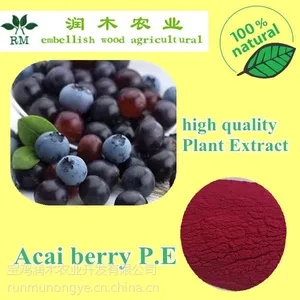润木 巴西莓提取物 巴西莓粉 阿萨伊