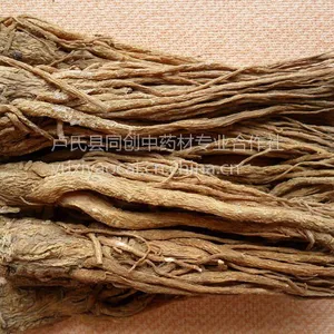 新产当归种子多少钱，河南产地批发销售价格，一级良种