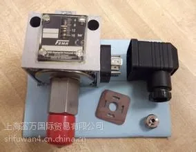 德国FEMA压力开关VCM101