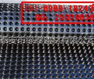 供应供应【辽宁】排水板厂家-【沈阳】排水板多少钱一平方米--?