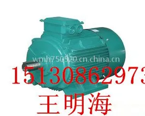 ��Ӧ��ˮ����Y2-132S-8-2.2KWKW�����첽�綯��