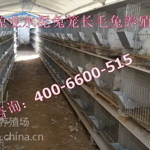 供应长毛兔养殖前景,长毛兔饲养技术养殖***