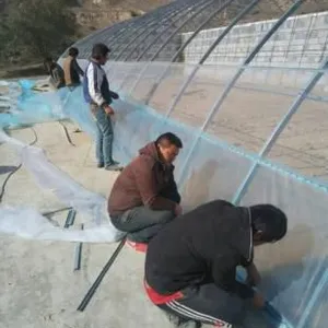 北京大兴草莓大棚建设方案双层薄膜大棚价格