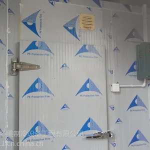 冷库,冷库新闻,惠州冷库工程案例