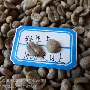 高海拔铁毕卡精品咖啡生豆