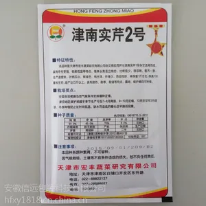 �Զ��������Ӱ�װ��������ʽ������װ��