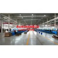(湖北,湖南,江西)长航,江特YZR315S-8三相异步冶金起重电机