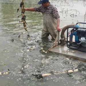 ��ź�� ��ź�� 190���ͻ���ź�� ������ź�� ������ź��