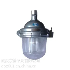 海洋王NFE9112防眩应急泛光灯