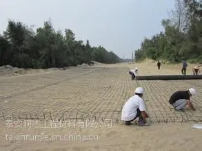 攀枝花钢塑格栅18605480055