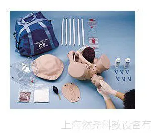 ***分娩机转示教模型 SB23536U