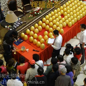 重庆金蛋批发,西南片区金蛋厂家直销批发【辉腾】,Q303191445