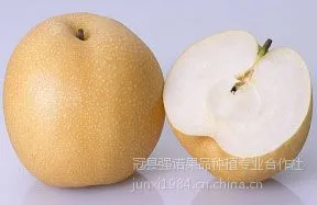 2016丰水梨产地价格