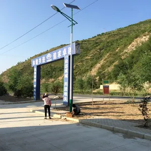 厂家供应河北省辛集市5米15W新农村建设太阳能路灯灯杆厂家