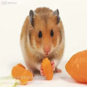 �����ͥ����-----����ˬ�໷���Ƽ����޹�˾