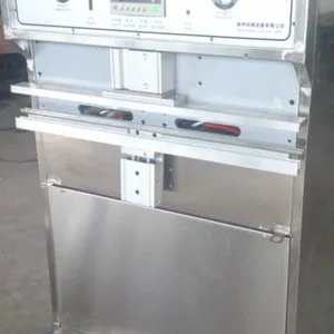供应花生板栗坚果类充氮型真空包装机