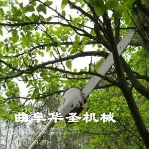 Ӧ�ù㷺��֦�� ***��֦�� ȼ�Ͷ�����֦��