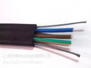 TVVBPG-TV钢丝加强型扁形聚氯乙烯护套电缆