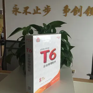 ��������T6��ҵ��������ERP�ռ���