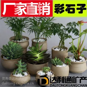 装饰石子 彩色石子 五彩石子 河北达利通彩砂彩石厂