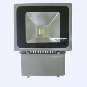 供应led投光灯100W led泛光灯 led户外广告灯 led集成灯具