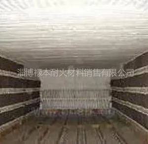 ��Ӧ����Ҥ���ʩ������ �մ���άģ�鱨��