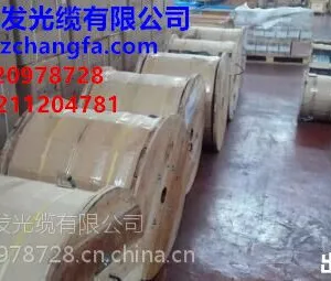 光缆厂家供应广西24芯GYTS室外管道光缆