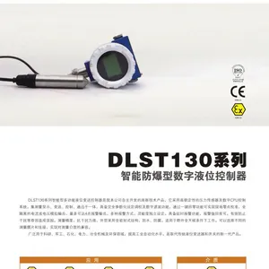 供应智能防爆型数字液位控制器