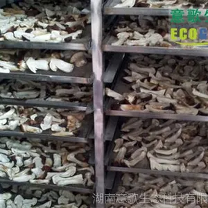 湖南食用菌烘干机(香菇|银耳|木耳烘干机)