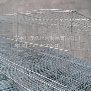 ������ֳ������������ֳ�� ����������ʮ��λ ��ƽ�Ѿ���ֳ������