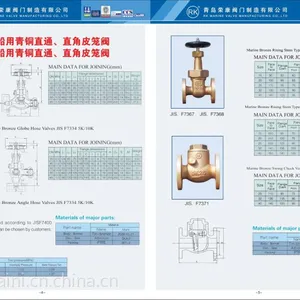 船用青铜法兰回转止回阀