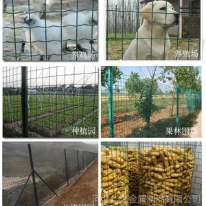 宁波荷兰网嘉兴围栏网绍兴护栏网批发