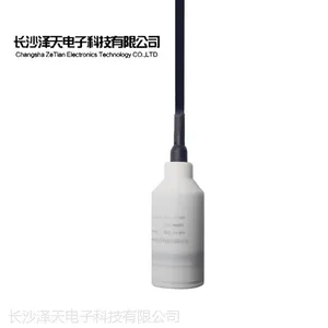 ZLM690电容投入式防腐液位变送器