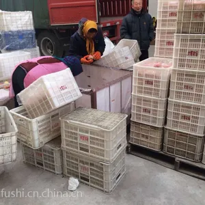 烟台苹果烟台红富士苹果批发市场
