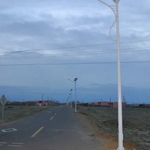 厂家直销白城市 LED路灯 环保照明灯具 太阳能路灯 太阳能电池板价格