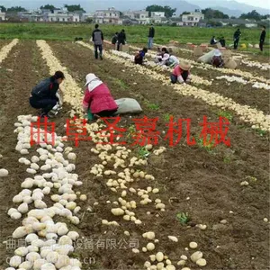 �ڻ����Ļ�������Ǯ ��ͨ�������ջ���ͺ� ʥ�������������ڻ�