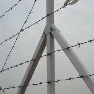 ����˿�� �ȶ�п���� ���ܴ���